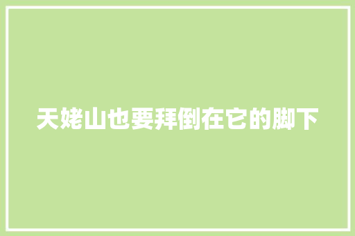 天姥山也要拜倒在它的脚下