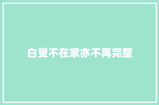 白叟不在家亦不再完整