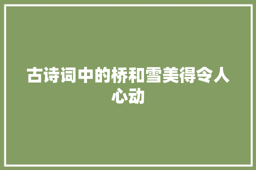 古诗词中的桥和雪美得令人心动