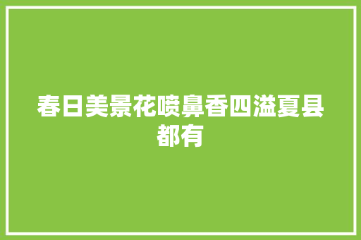 春日美景花喷鼻香四溢夏县都有
