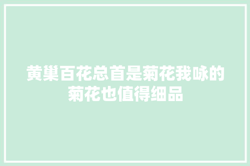 黄巢百花总首是菊花我咏的菊花也值得细品