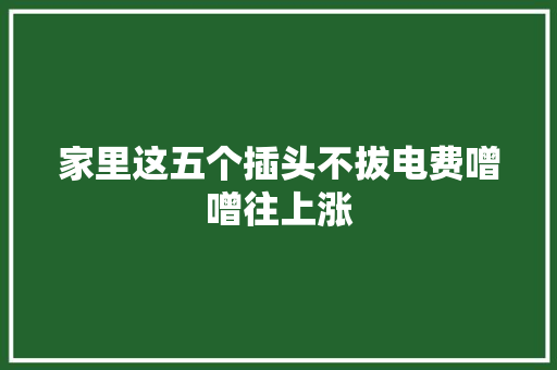 家里这五个插头不拔电费噌噌往上涨