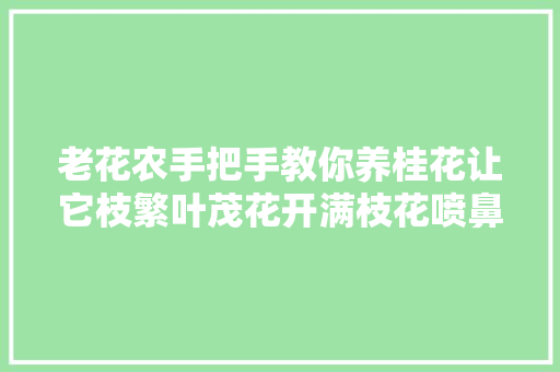 老花农手把手教你养桂花让它枝繁叶茂花开满枝花喷鼻香四溢