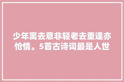 少年离去意非轻老去重逢亦怆情。5首古诗词最是人世骨肉情