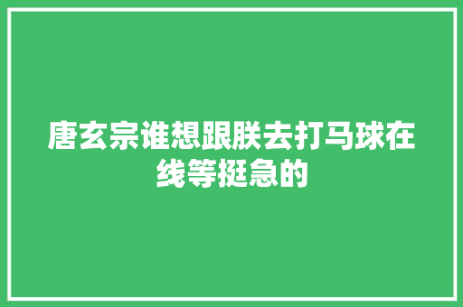 唐玄宗谁想跟朕去打马球在线等挺急的