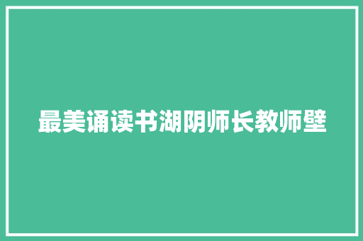最美诵读书湖阴师长教师壁