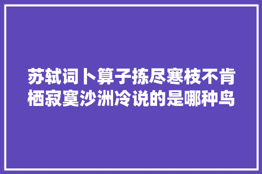 苏轼词卜算子拣尽寒枝不肯栖寂寞沙洲冷说的是哪种鸟