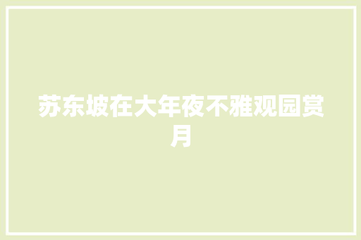 苏东坡在大年夜不雅观园赏月