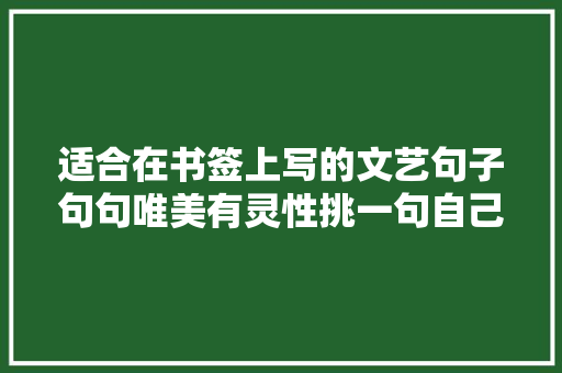 适合在书签上写的文艺句子句句唯美有灵性挑一句自己喜好的