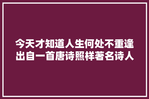 今天才知道人生何处不重逢出自一首唐诗照样著名诗人所写