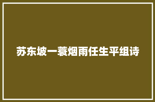 苏东坡一蓑烟雨任生平组诗