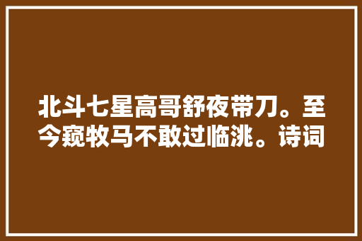北斗七星高哥舒夜带刀。至今窥牧马不敢过临洮。诗词