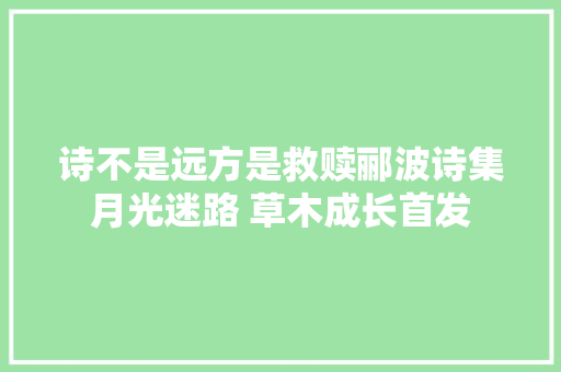 诗不是远方是救赎郦波诗集月光迷路 草木成长首发