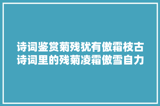 诗词鉴赏菊残犹有傲霜枝古诗词里的残菊凌霜傲雪自力枝头