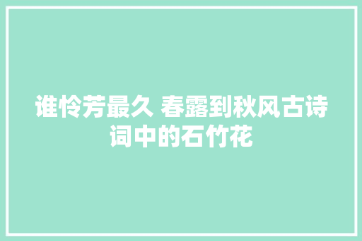 谁怜芳最久 春露到秋风古诗词中的石竹花