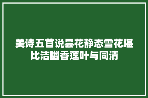 美诗五首说昙花静态雪花堪比洁幽香莲叶与同清