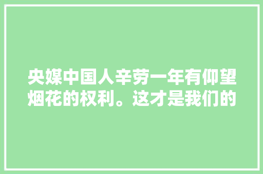 央媒中国人辛劳一年有仰望烟花的权利。这才是我们的中国年