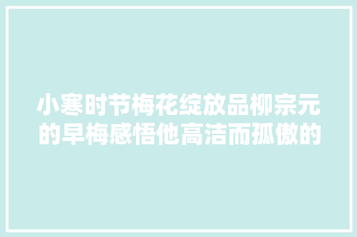 小寒时节梅花绽放品柳宗元的早梅感悟他高洁而孤傲的品格