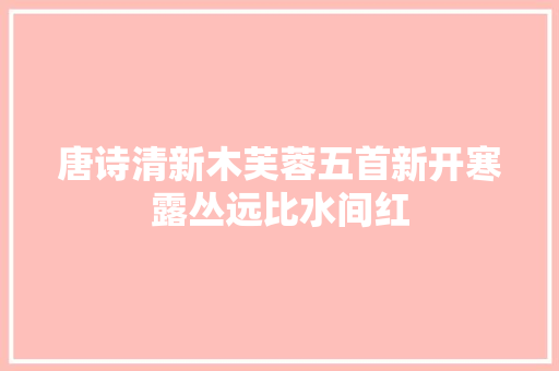 唐诗清新木芙蓉五首新开寒露丛远比水间红 唐诗清新木芙蓉五首新开寒露丛远比水间红