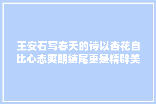 王安石写春天的诗以杏花自比心态爽朗结尾更是精辟美极了