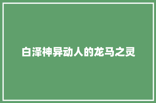 白泽神异动人的龙马之灵
