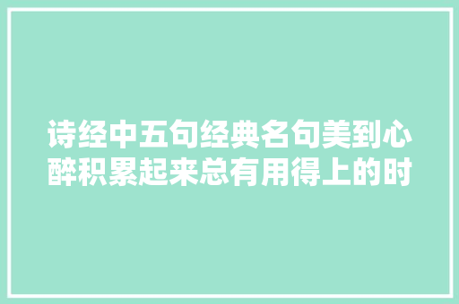 诗经中五句经典名句美到心醉积累起来总有用得上的时刻