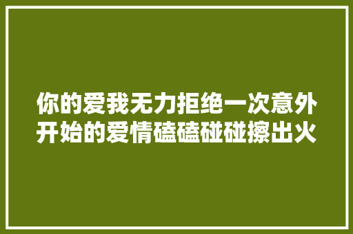 你的爱我无力拒绝一次意外开始的爱情磕磕碰碰擦出火花～
