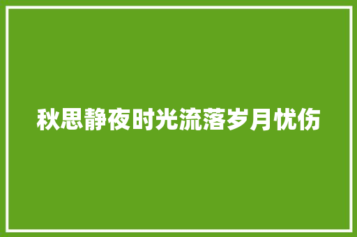 秋思静夜时光流落岁月忧伤