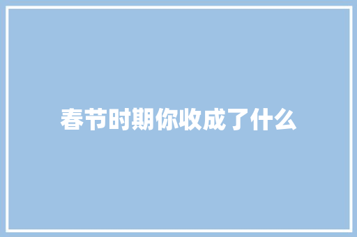 春节时期你收成了什么