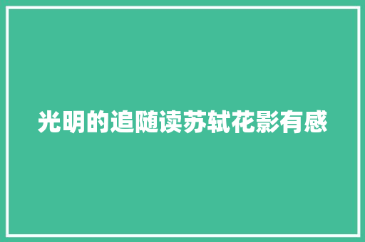 光明的追随读苏轼花影有感