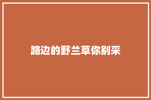 路边的野兰草你别采