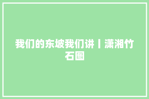 我们的东坡我们讲丨潇湘竹石图