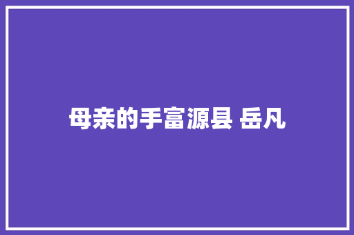 母亲的手富源县 岳凡