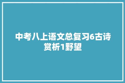 中考八上语文总复习6古诗赏析1野望