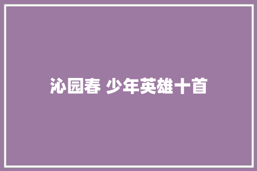 沁园春 少年英雄十首