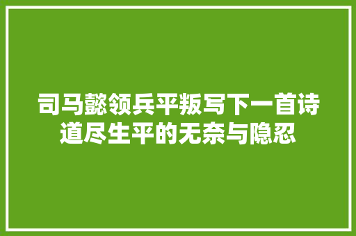 司马懿领兵平叛写下一首诗道尽生平的无奈与隐忍