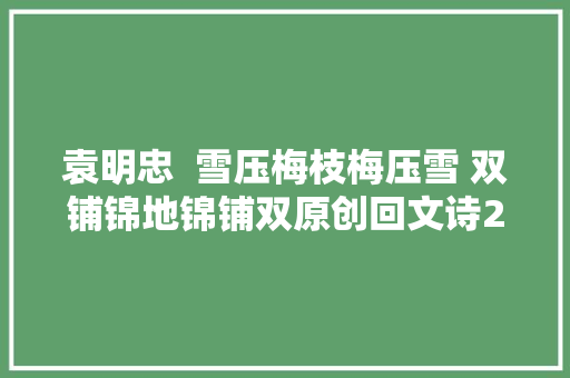 袁明忠  雪压梅枝梅压雪 双铺锦地锦铺双原创回文诗20组