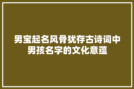 男宝起名风骨犹存古诗词中男孩名字的文化意蕴