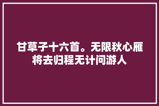 甘草子十六首。无限秋心雁将去归程无计问游人