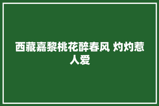 西藏嘉黎桃花醉春风 灼灼惹人爱