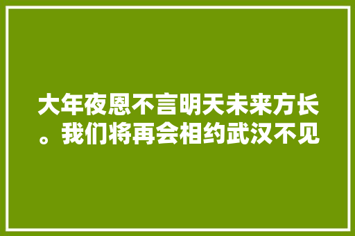 大年夜恩不言明天未来方长。我们将再会相约武汉不见不散。
