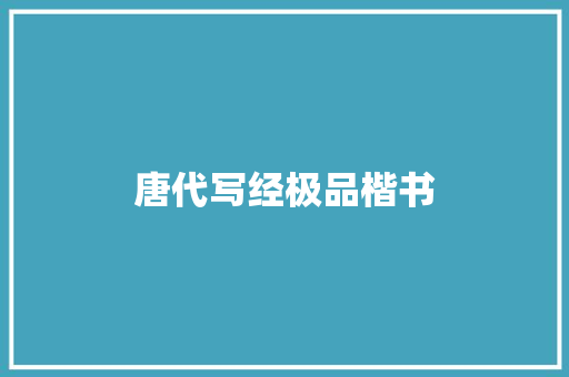 唐代写经极品楷书