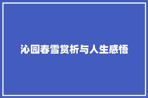 沁园春雪赏析与人生感悟