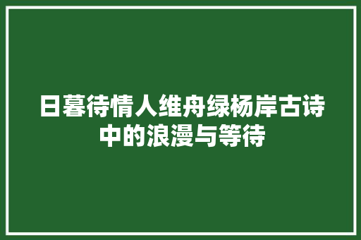 日暮待情人维舟绿杨岸古诗中的浪漫与等待