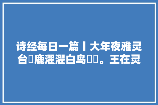 诗经每日一篇丨大年夜雅灵台麀鹿濯濯白鸟翯翯。王在灵沼