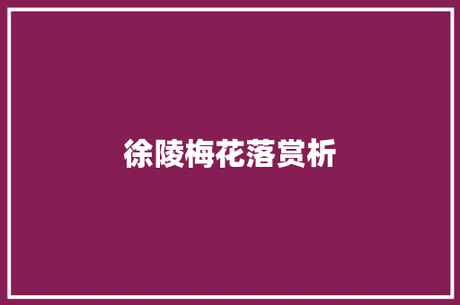 徐陵梅花落赏析