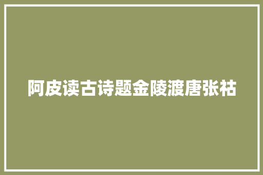 阿皮读古诗题金陵渡唐张祜
