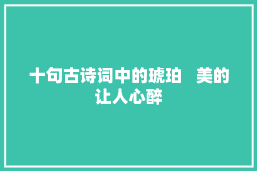 十句古诗词中的琥珀   美的让人心醉