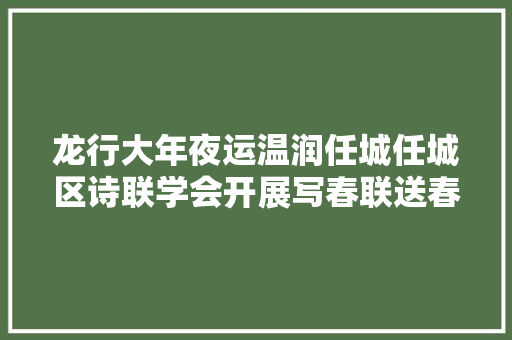 龙行大年夜运温润任城任城区诗联学会开展写春联送春福活动