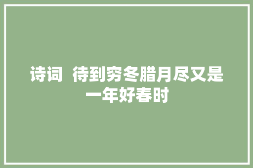 诗词  待到穷冬腊月尽又是一年好春时